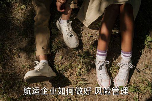 中國遠洋巨虧風(fēng)險分析