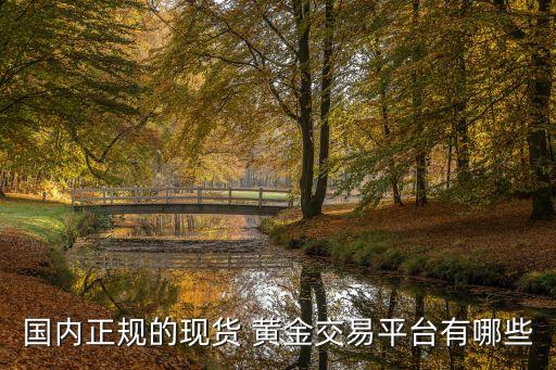 國內正規(guī)的現(xiàn)貨 黃金交易平臺有哪些