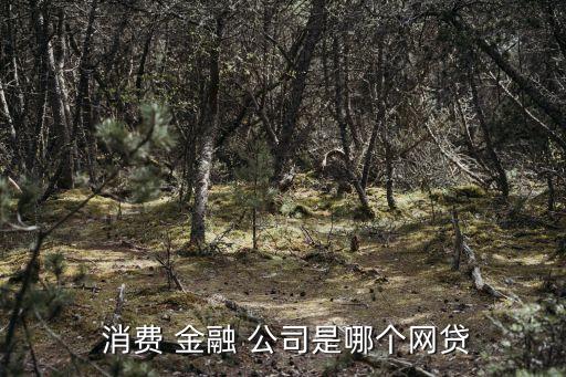  消費 金融 公司是哪個網(wǎng)貸
