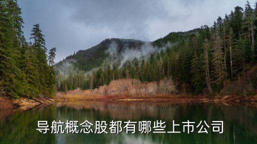  導航概念股都有哪些上市公司