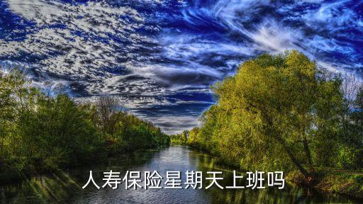 中國(guó)人壽客服服務(wù)時(shí)間