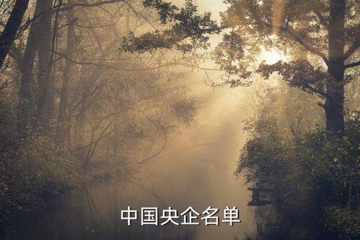 中國南動集團財務有限責任公司