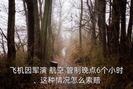 中國(guó)航空管制