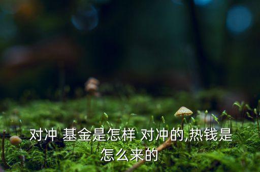 對(duì)沖基金如何賺錢(qián),金锝對(duì)沖基金如何