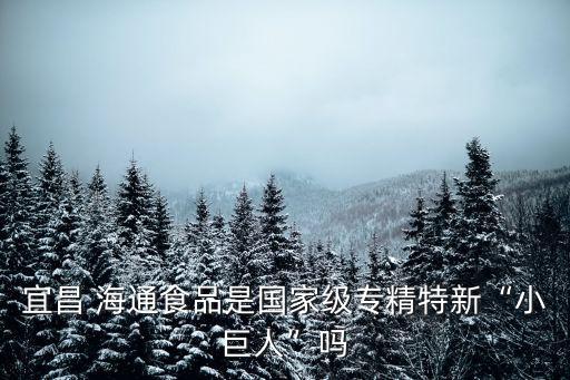 宜昌 海通食品是國(guó)家級(jí)專(zhuān)精特新“小巨人”嗎