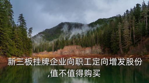  新三板掛牌企業(yè)向職工定向增發(fā)股份,值不值得購(gòu)買(mǎi)