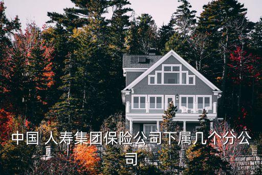 中國(guó) 人壽集團(tuán)保險(xiǎn)公司下屬幾個(gè)分公司