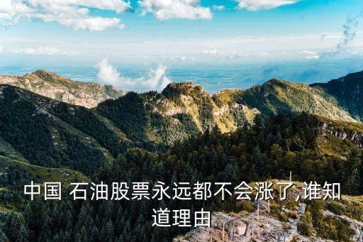 中國(guó) 石油股票永遠(yuǎn)都不會(huì)漲了,誰知道理由