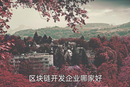  區(qū)塊鏈開(kāi)發(fā)企業(yè)哪家好