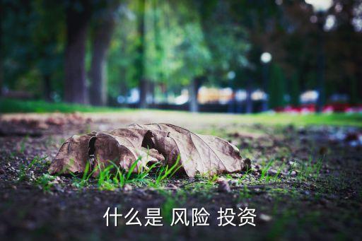 什么是 風險 投資