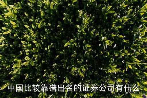 中國(guó)比較靠譜出名的證券公司有什么