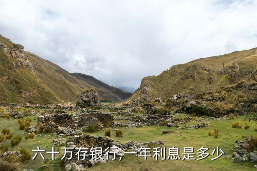 六十萬(wàn)存銀行,一年利息是多少