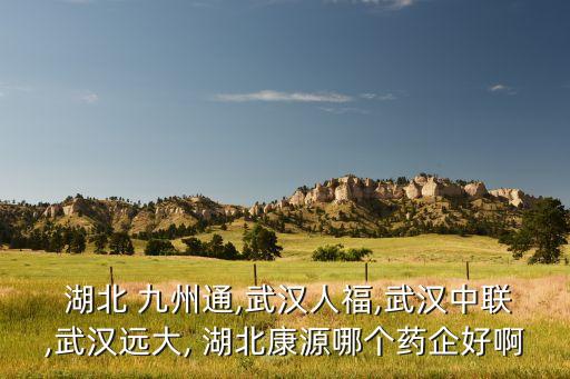  湖北 九州通,武漢人福,武漢中聯(lián),武漢遠大, 湖北康源哪個藥企好啊