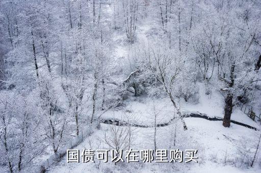  國(guó)債可以在哪里購(gòu)買