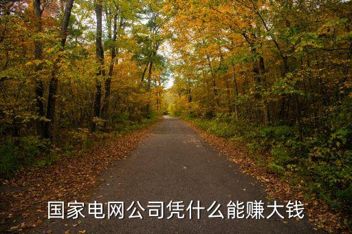 國(guó)家電網(wǎng)公司憑什么能賺大錢(qián)