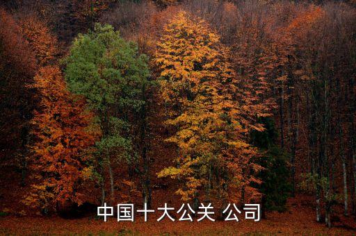 藍色光標(biāo)公司