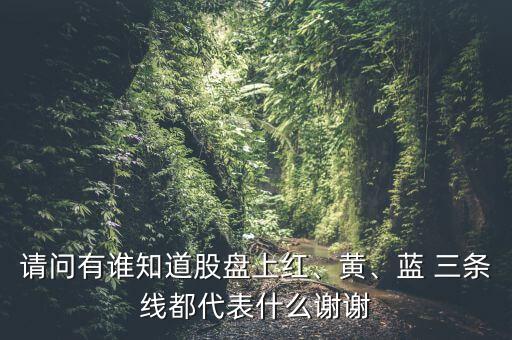 請問有誰知道股盤上紅、黃、藍(lán) 三條線都代表什么謝謝