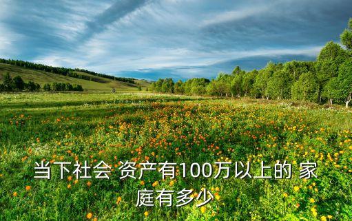 當下社會 資產(chǎn)有100萬以上的 家庭有多少