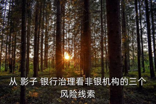 從 影子 銀行治理看非銀機(jī)構(gòu)的三個(gè)風(fēng)險(xiǎn)線(xiàn)索