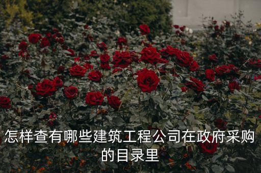 怎樣查有哪些建筑工程公司在政府采購(gòu)的目錄里