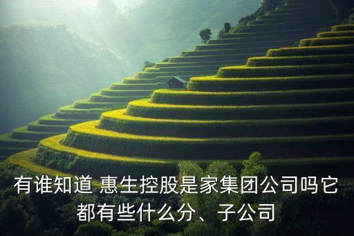 有誰知道 惠生控股是家集團公司嗎它都有些什么分、子公司
