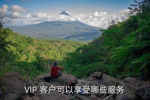VIP 客戶(hù)可以享受哪些服務(wù)