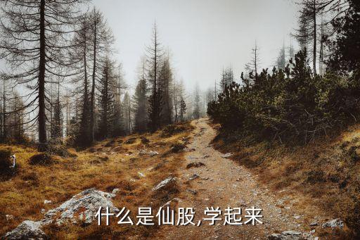 什么是仙股,學(xué)起來(lái)