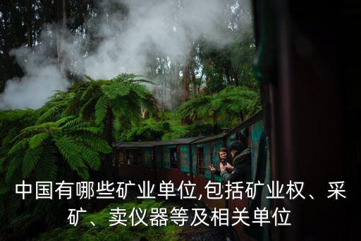 中國有哪些礦業(yè)單位,包括礦業(yè)權(quán)、采礦、賣儀器等及相關(guān)單位