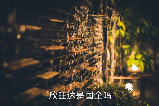  欣旺達(dá)是國(guó)企嗎