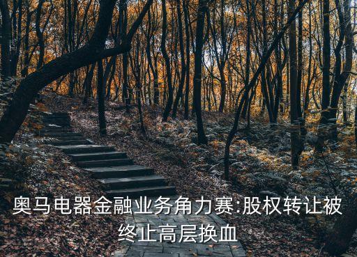 奧馬電器金融業(yè)務角力賽:股權轉(zhuǎn)讓被終止高層換血