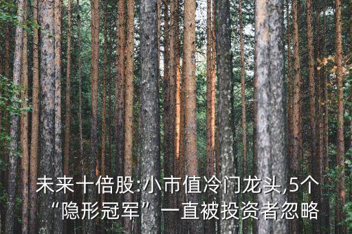  未來(lái)十倍股:小市值冷門龍頭,5個(gè)“隱形冠軍”一直被投資者忽略