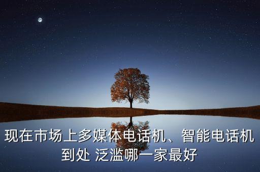 現(xiàn)在市場(chǎng)上多媒體電話機(jī)、智能電話機(jī)到處 泛濫哪一家最好