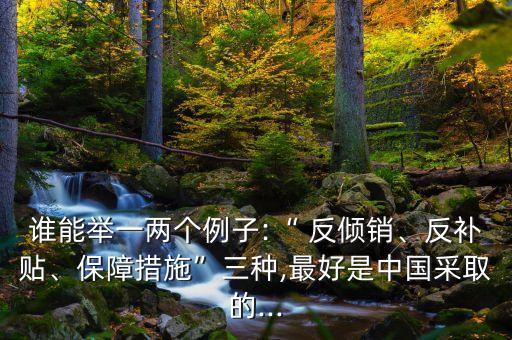 誰能舉一兩個例子:“ 反傾銷、反補貼、保障措施”三種,最好是中國采取的...