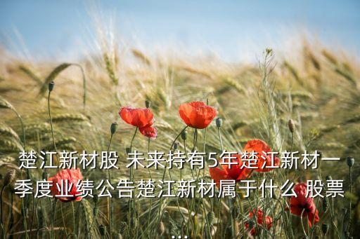楚江新材股 未來(lái)持有5年楚江新材一季度業(yè)績(jī)公告楚江新材屬于什么 股票...
