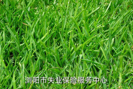 瀏陽市失業(yè)保險服務中心