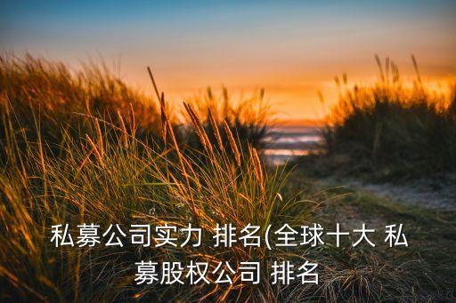  私募公司實力 排名(全球十大 私募股權(quán)公司 排名