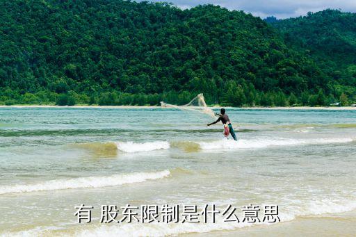 買(mǎi)入股票時(shí)提示股東限制,在股權(quán)登記日之前持有或買(mǎi)入股票的股東