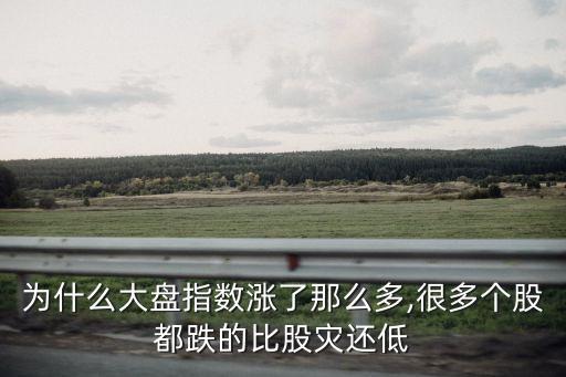 為什么大盤指數(shù)漲了那么多,很多個(gè)股都跌的比股災(zāi)還低