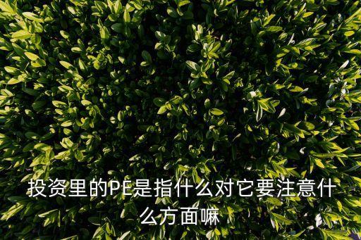  投資里的PE是指什么對(duì)它要注意什么方面嘛