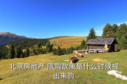  北京房地產(chǎn) 限購(gòu)政策是什么時(shí)候提出來(lái)的