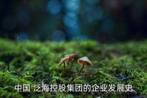 中國 泛?？毓杉瘓F的企業(yè)發(fā)展史
