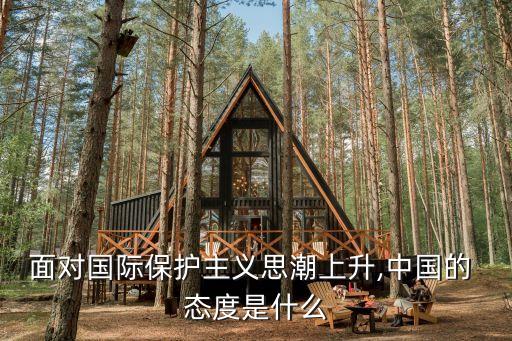 面對(duì)國際保護(hù)主義思潮上升,中國的 態(tài)度是什么