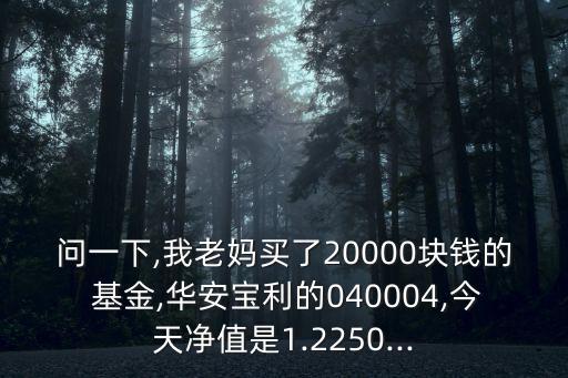 問(wèn)一下,我老媽買(mǎi)了20000塊錢(qián)的 基金,華安寶利的040004,今天凈值是1.2250...