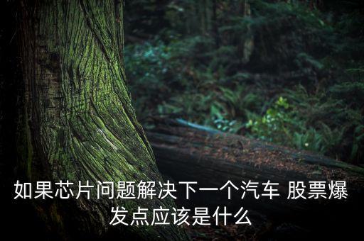 如果芯片問題解決下一個汽車 股票爆發(fā)點應該是什么