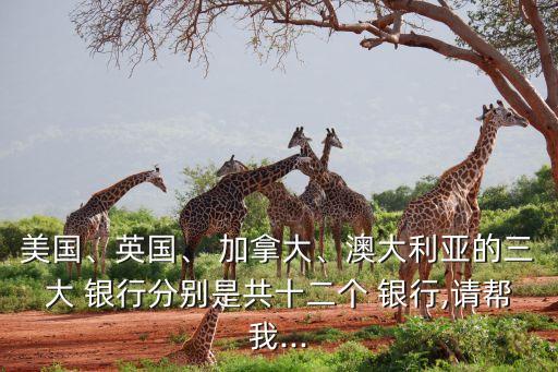 美國、英國、 加拿大、澳大利亞的三大 銀行分別是共十二個 銀行,請幫我...