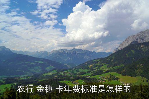 農(nóng)業(yè)銀行金穗卡年費