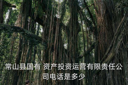 常山縣國(guó)有 資產(chǎn)投資運(yùn)營(yíng)有限責(zé)任公司電話(huà)是多少