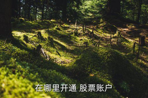 可以直接去銀行股票開(kāi)戶嗎,那個(gè)銀行可以直接在網(wǎng)上開(kāi)戶