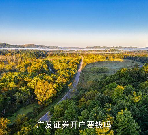 廣發(fā)證券開(kāi)戶要錢嗎