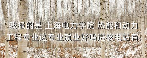 我報的是 上海電力學(xué)院 熱能和動力工程專業(yè)這專業(yè)就業(yè)好嗎進核電站有...